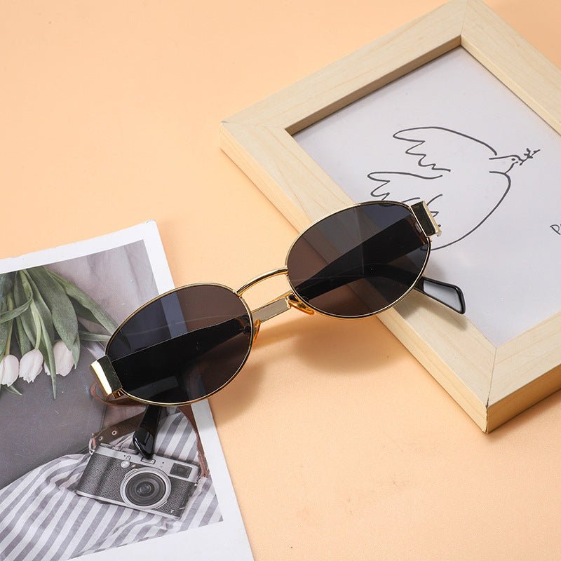 Vintage Oval Frame Sunglasses With Case（50% OFF） - ALPINE WEAR