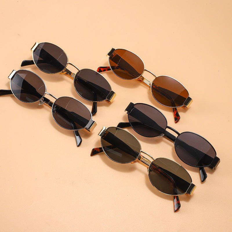 Vintage Oval Frame Sunglasses With Case（50% OFF） - ALPINE WEAR