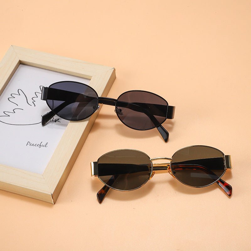 Vintage Oval Frame Sunglasses With Case（50% OFF） - ALPINE WEAR